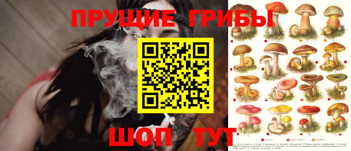 Псилоцибиновые грибы мицелий Семёнов