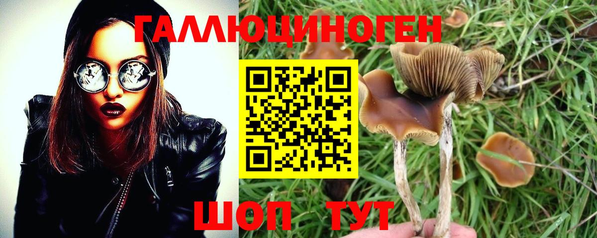 Галлюциногенные грибы мицелий  Псилоцибиновые грибы мицелий  Семёнов  Вход с VPN 